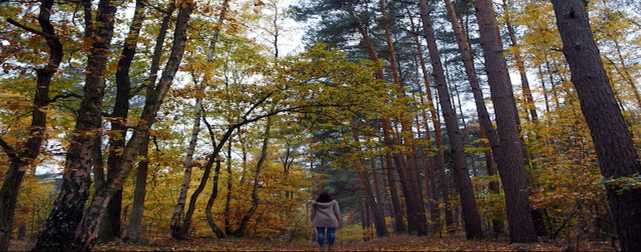 Sarah – Mental Health Navigator